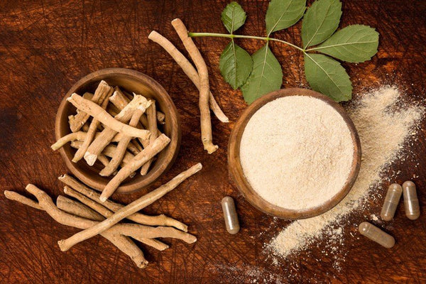 Ashwagandha & Muscle Growth: How This Ancient Herb Boosts Strength & Recovery - Outlaw Supplements