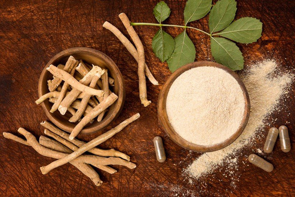 Ashwagandha & Muscle Growth: How This Ancient Herb Boosts Strength & Recovery