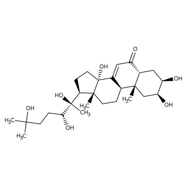 Ecdysterone & Turkesterone: The Ultimate Duo for Natural Muscle Growth