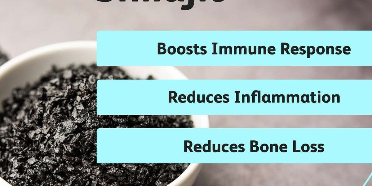 Shilajit & Testosterone: The Hidden Powerhouse for Strength & Stamina - Outlaw Supplements